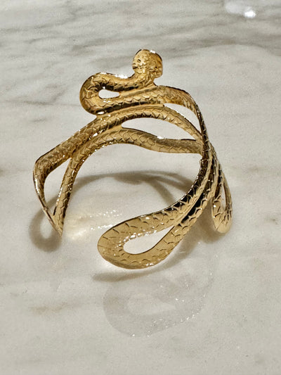 Gold wrist Snake